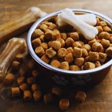 台灣寵物食品市場逼近 300 億是成長紅利還是產業門檻